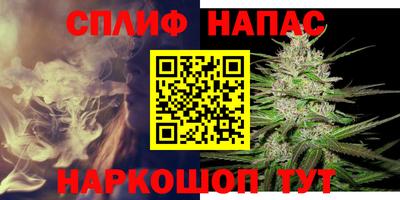 молекула духа Моздок