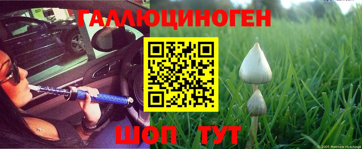 Псилоцибиновые грибы мицелий  Вход с VPN  Псилоцибиновые грибы мухоморы  Глазов 